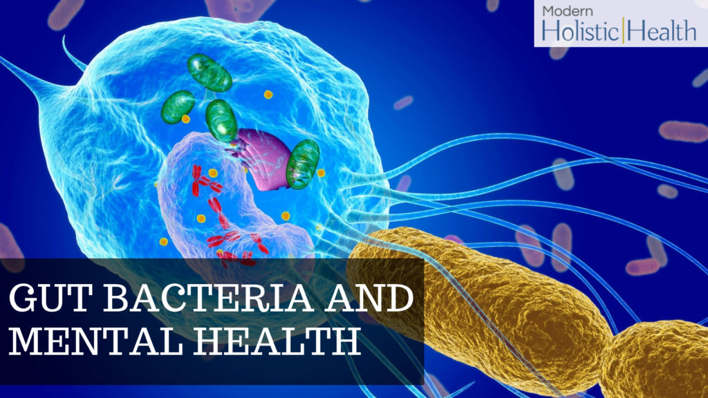 Gut Bacteria and Mental Health