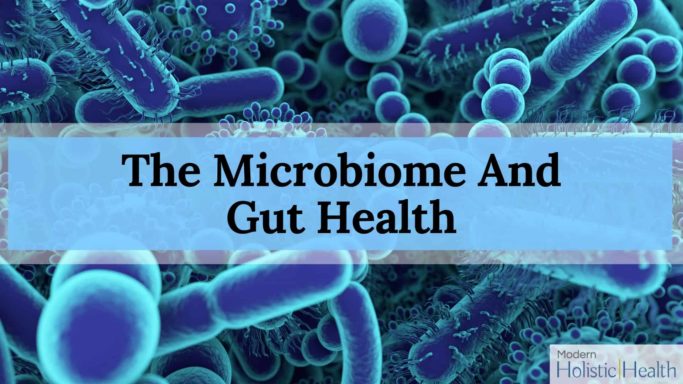 The Microbiome And Gut Health