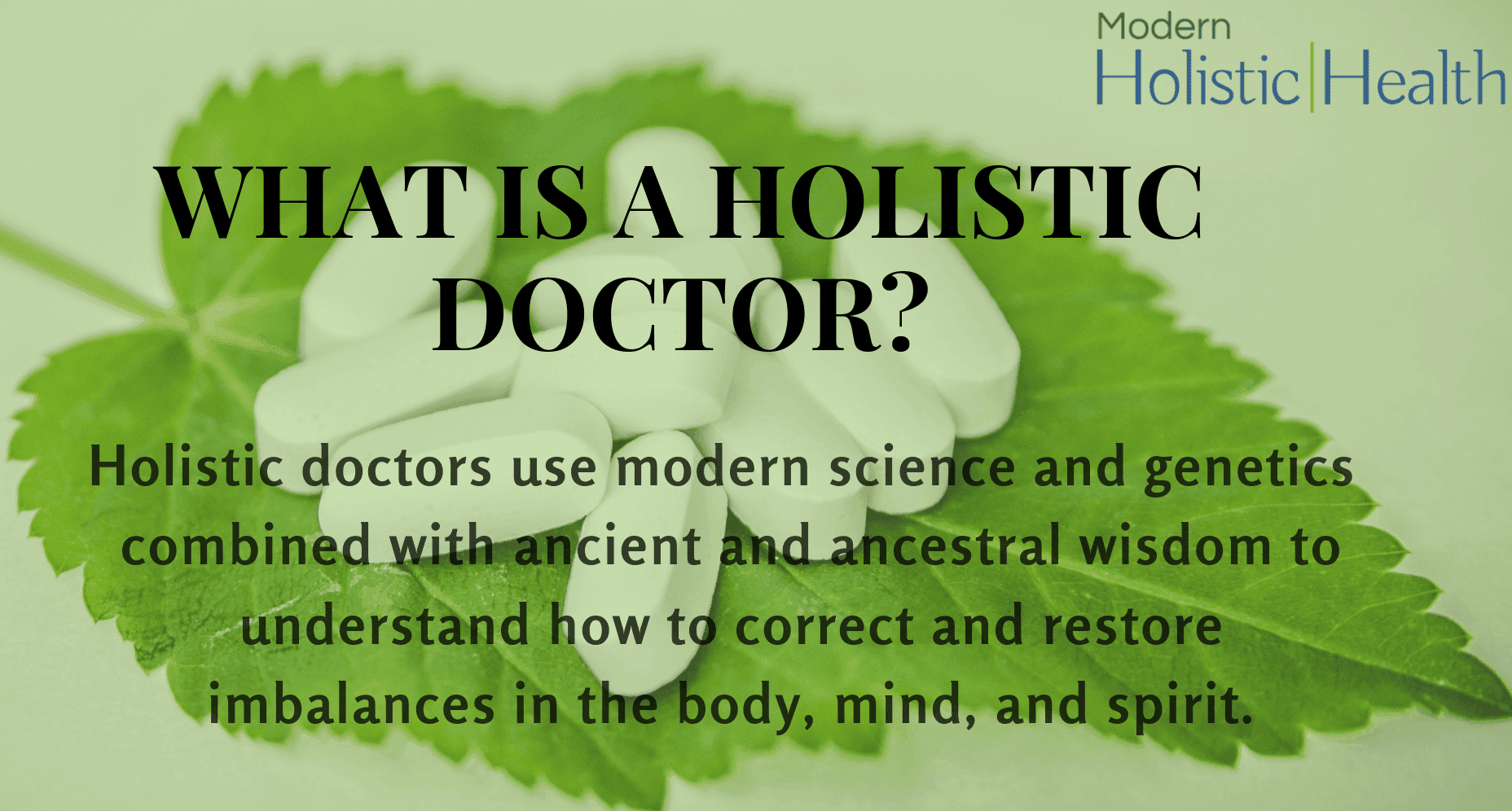 what is a holistic doctor