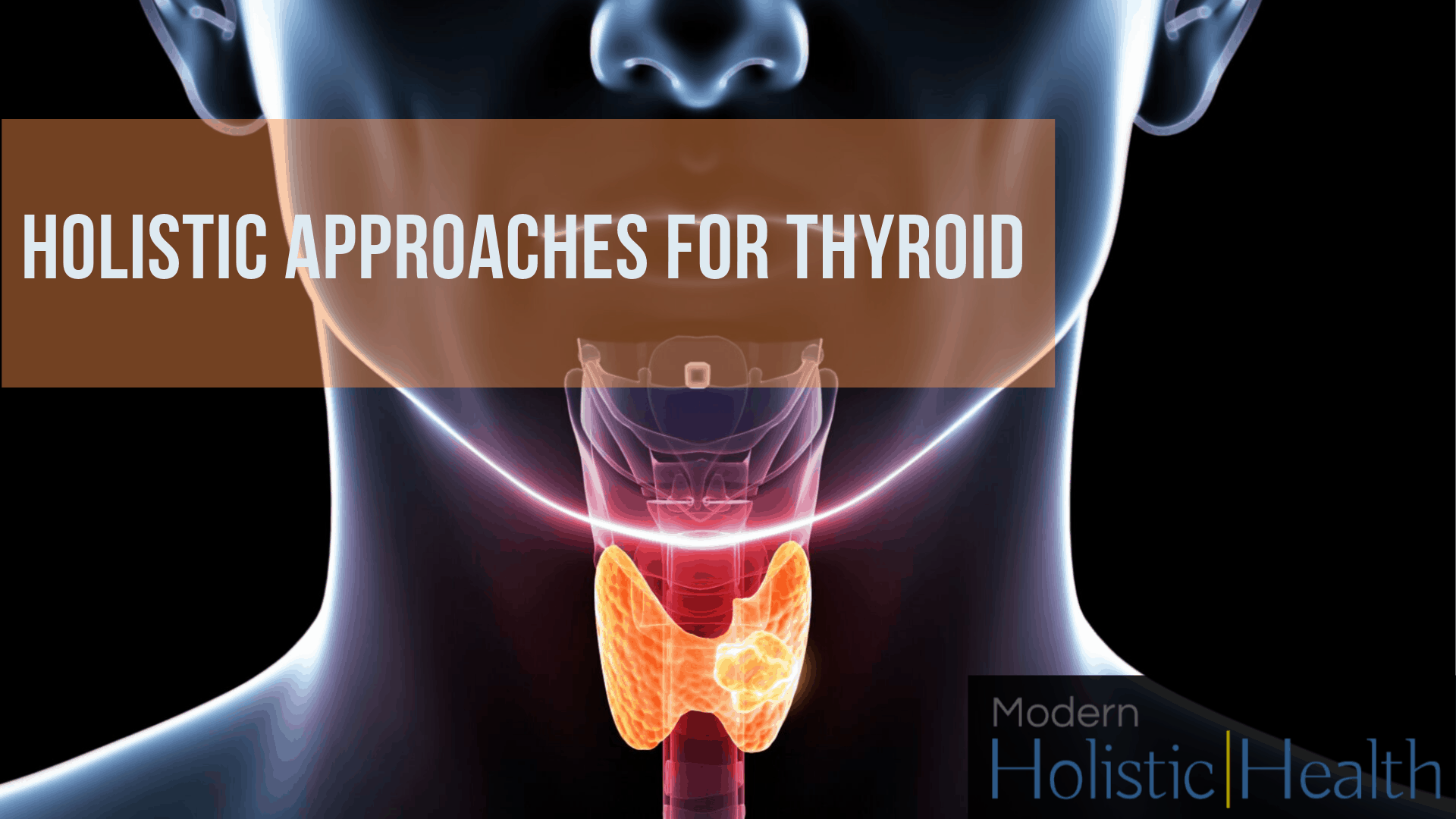 holistic approaches for thyroid