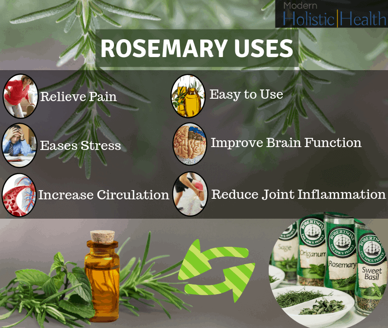 Rosemary uses