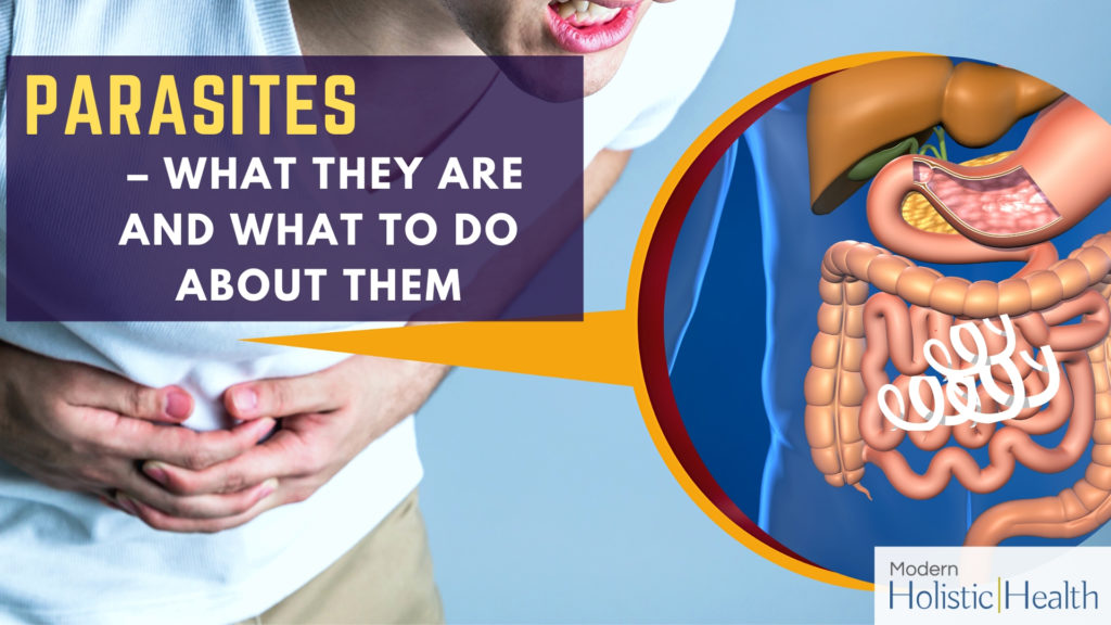 _Parasites – What they are and What To do About Them.
