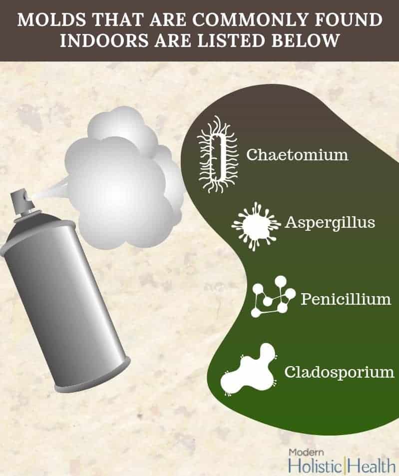 Symptoms of Mold Toxins 4