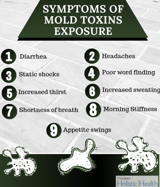 Symptoms Of Mold Toxin Exposure And What To Do About It
