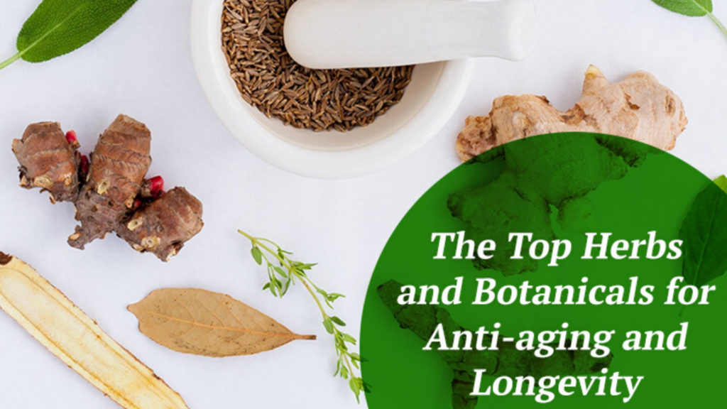 The Top Herbs and Botanicals for Anti-aging and Longevity