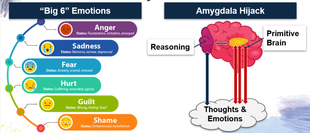 Amygdala Hijack