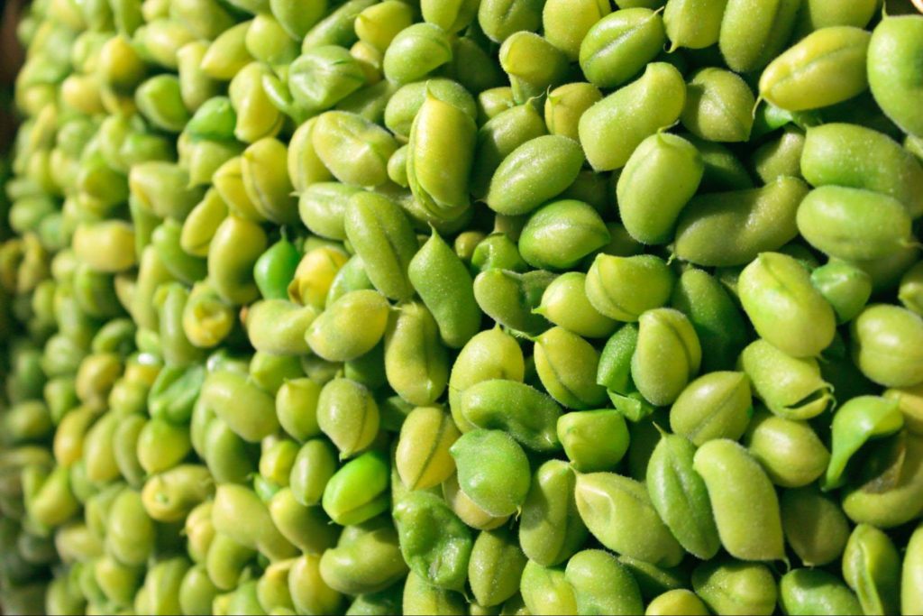 seeds