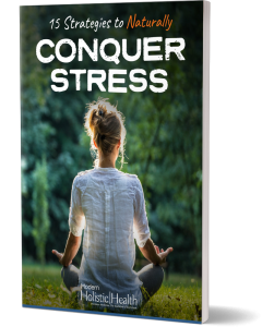15 Strategies to Conquer Stress - 3D Cover 09